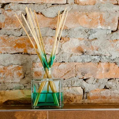 Colibri House Apartsuite Chioggia Guest house